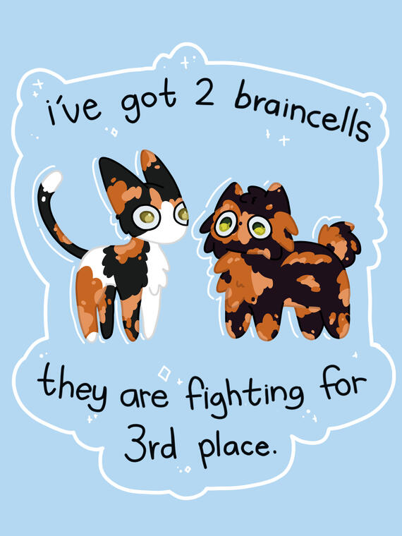 A skinny calico kitty and a chubby, fluffy tortie kitty stand side by side, looking off into the distance. The text reads "i've got 2 braincells" on top and "they are fighting for 3rd place" on the bottom. Sale of this design as a durable sticker coming so