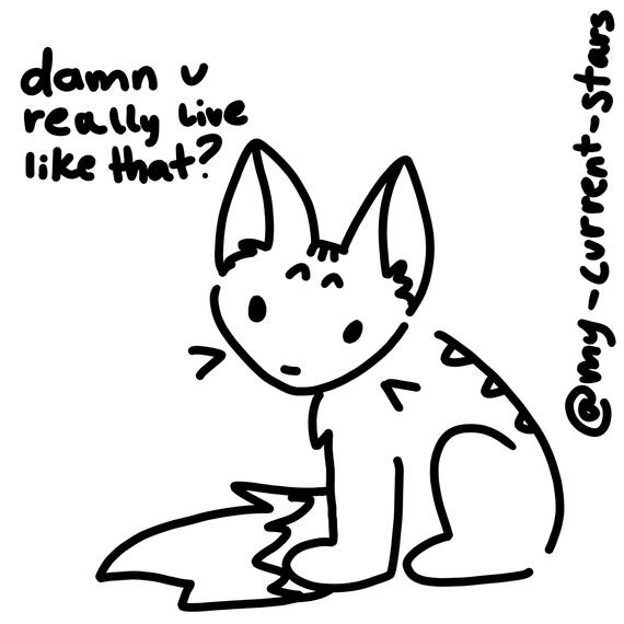 cat asking 'damn u really live like that?'